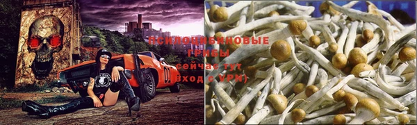 дистиллят марихуана Бронницы